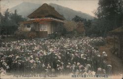 Stock #807973 Thumbnail