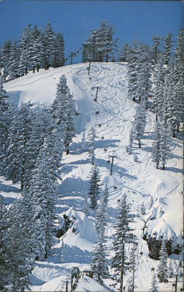 The National at Bear Valley -Mt Reba Arnold California