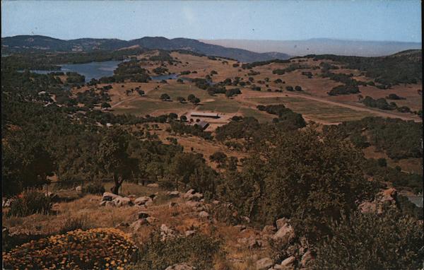 Wild Horse Valley Ranch Napa California
