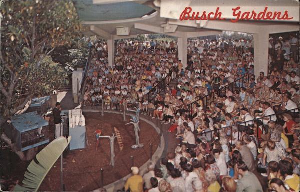 Busch Gardens Unique Bird Show Delights Visitors Los Angeles, CA Postcard