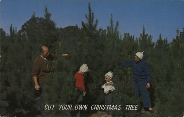 Volkman Family Ranch - Cut your own Christmas Tree Livermore California