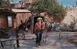 Old Prospector - Knott's Berry Farm & Ghost Town Postcard