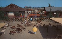 Japanese Village and Deer Park Postcard
