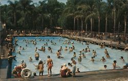 City Park Plunge Postcard