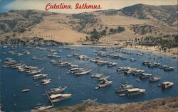 The Isthmus Cove Postcard