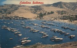 The Isthmus Cove Santa Catalina Island, CA Postcard Postcard Postcard