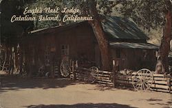 Eagle's Nest Lodge Santa Catalina Island, CA Geo E. Watson Postcard Postcard Postcard