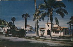 Avalon's crescent shape bay, palm trees, ocean Postcard