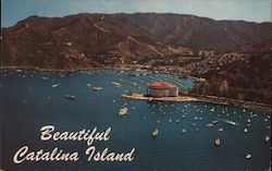 Beautiful Catalina Island Postcard