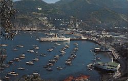 The Bay At Avalon Postcard