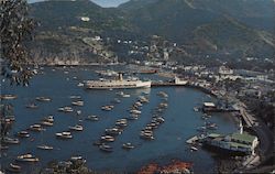 The Bay At Avalon Santa Catalina Island, CA Geo. E. Watson Postcard Postcard Postcard