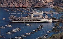 The Steamer "Catalina" Santa Catalina Island, CA Postcard Postcard Postcard