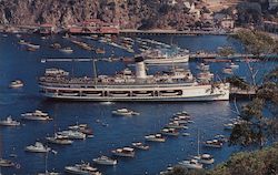 The Steamer "Catalina" Postcard