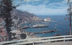 Avalon Bay Santa Catalina Island, CA Postcard Postcard Postcard