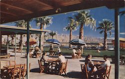 Lawn and Terrace, Hoberg's Desert Resort Postcard
