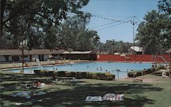 Vichy Springs Amusement Park - View of swimming pool Postcard