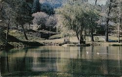 Enchanted Hills Camp For Blind Children, View Of The Lake Postcard