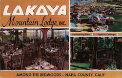Lakaya Mountain Lodge, Inc. Postcard