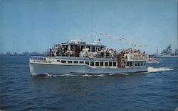Cruis Boat "Shearwater" Postcard
