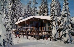 Alpine Meadows Lodge Postcard