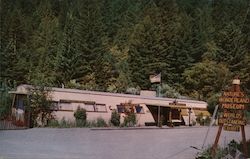 Nature's Wonderland Museum Postcard