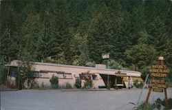 Nature's Wonderland Museum Postcard