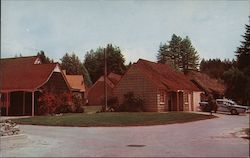 The Surrey Inn Postcard