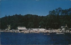 Johnson's Beach - Russian River Postcard