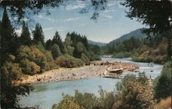 Rio Nido Beach Russian River Postcard