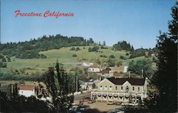 Hillside view Freestone, CA Postcard Postcard Postcard