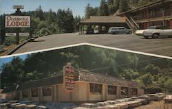 Negri's Original Occidental Restaurant and Lodge Postcard