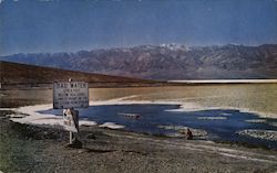 Bad Water, 279.6 Ft Below Sea Level, Death Valley National Monument Postcard