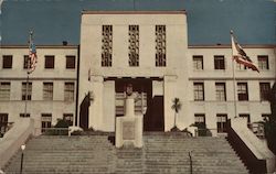 County Court House, Main Entrance Postcard