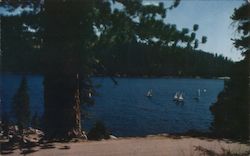 Sail Boats on Lake Alpine, Ebbetts Pass California Postcard Postcard Postcard