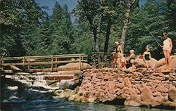 Tuolumne Camp Postcard