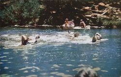 Swimming pool in Spanish creek, Plumas National Forest Postcard