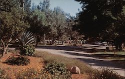 Stock #810007 Thumbnail