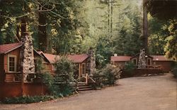 Brookdale Lodge - Cottages, Redwood trees Postcard