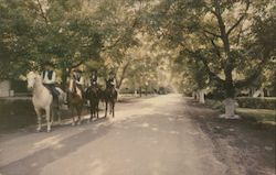 Members of the Danville Jr. Horsemans Association riding down Sonora Ave. Postcard