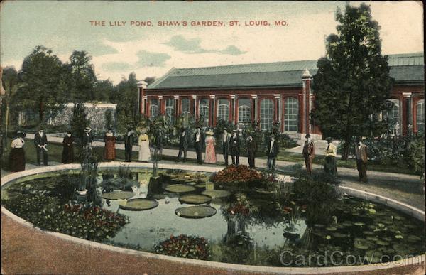 The Lily Pond at Shaw's Garden St. Louis Missouri