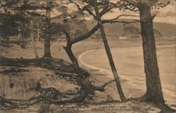 Pebble Beach Postcard