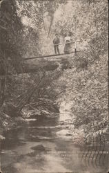 Natural Bridge, Black Sulphur Spring Canyon, Skaggs Hot Springs Postcard