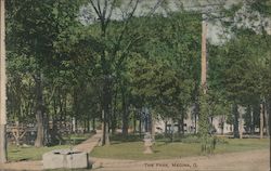 The Park Postcard