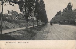 The Boulevard Postcard