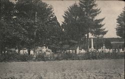 Mount Hope Cemetery Postcard