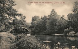 Cope's Bridge on the Brandywine Chester, PA Postcard Postcard Postcard