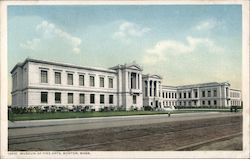 Museum of Fine Arts Postcard