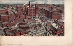 Principal Buildings of the Anheuser-Busch Brewing Plant Postcard