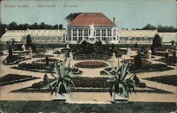 Show's Garden - Palm House Postcard