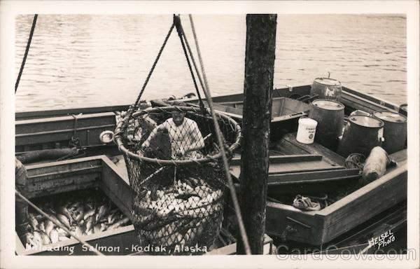 Unloading Salmon Kodiak Alaska Helsel Photo
